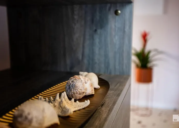 The Lady C - High Apartament *