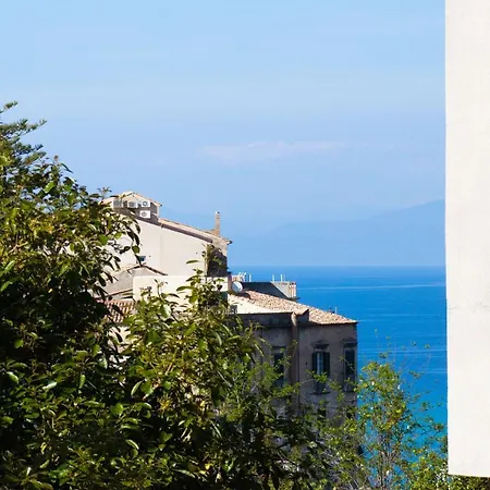 The Lady C - High * Tropea